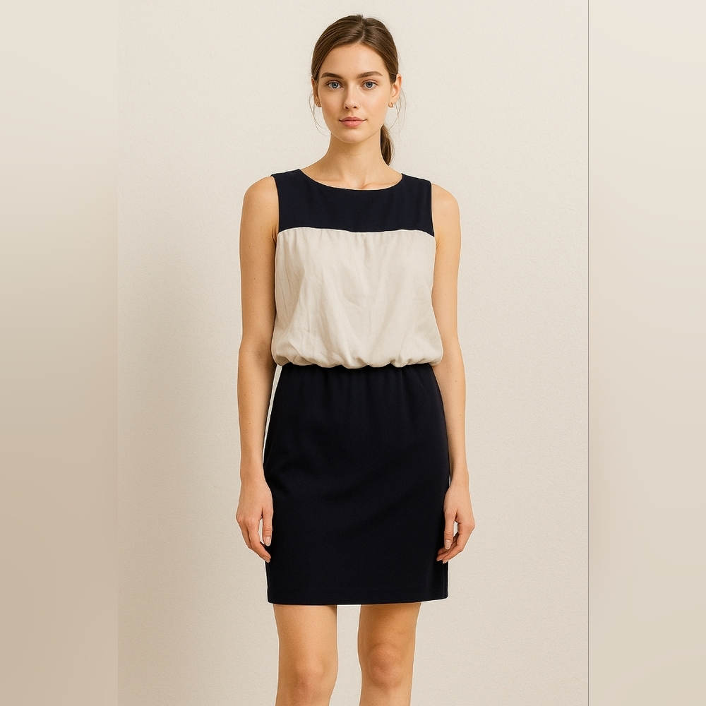 LOFT Black & Cream Colorblock Sleeveless Sheath Dress Size 14 – Classic Office